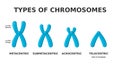 Types of chromosomes. Metacentric, submetacentric, telocentric, acrocentric. Royalty Free Stock Photo