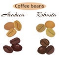 Types of coffee beans.