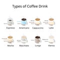 Types of Coffee Drinks and Their Ingredients Infographic Royalty Free Stock Photo