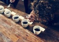 Types of coffee placed to taste or smell Royalty Free Stock Photo