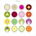 Types of different cut vegetables Illustrations Royalty Free Stock Photo