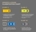 Types of driving licences and descriptions. Driver`s license classification chart infographic.