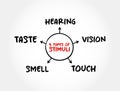 The 5 types of external stimuli - divided into our senses: touch, vision, smell and taste, mind map concept for presentations and