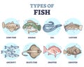 Types of fish as underwater wildlife species variety collection outline set