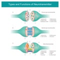 Types and Functions of Neurotransmitter.