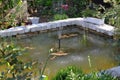 Types of garden ponds with fontain Royalty Free Stock Photo