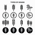 Types of grains, cereals icons - wheat, rye, barley, oats Royalty Free Stock Photo