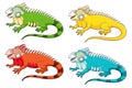 Types of iguana cartoon collections