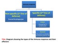 Types of the immune response in a diagram, 3d illustration Royalty Free Stock Photo