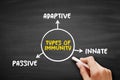 Types of immunity mind map text concept for presentations and reports Royalty Free Stock Photo