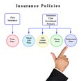 Types of Insurance Policies