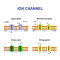 Types of ion channel Royalty Free Stock Photo