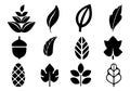 Types of leafs. Silhouette of autumn elements