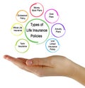 Types of Life Insurance Policies