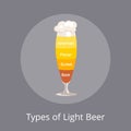 Types of Light Beer American and Dunkel, Pilsner Royalty Free Stock Photo