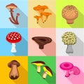 Types of mushroom icons set, flat style