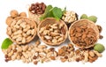 Types of nuts Royalty Free Stock Photo