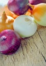 Types of onion Royalty Free Stock Photo