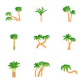 Types of palm icons set, cartoon style