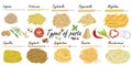 Types of pasta. Long pasta difference, illustration example