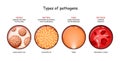 Types of pathogens. viruses, bacteria, fungi, and protozoa Royalty Free Stock Photo