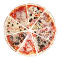 8 types of pizza on a white background, eight slices of different types of pizza on a white background