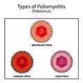 Types of poliovirus. The Brunnhild virus.