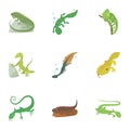 Types of reptile icons set, cartoon style