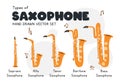 Types of saxophone clipart cartoon style. Soprano, alto, tenor, baritone, bass saxophone types flat vector illustration Royalty Free Stock Photo