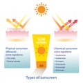 Types of sunscreen vector on white background.