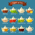 Types of tea. Set of glass kettles with different tastes and ingredients Royalty Free Stock Photo