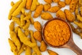 Types of turmeric barks Royalty Free Stock Photo