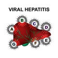 Types of viral hepatitis. Hepatitis A, B, C, D, E, F, G. World Hepatitis Day. Infographics. Vector illustration on