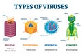 Types of viruses vector illustration labeled drawings