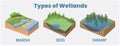 Types of wetlands diagram