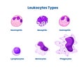 Types of the white blood cells. Leucocyte types