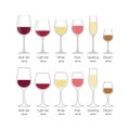 Types of wine glasses set. Colorful full wine glasses