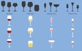 Types of Wine and Glasses