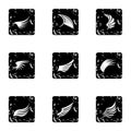 Types of wings icons set, grunge style