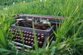 Typewriter in green grass retro