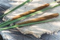 Typha as bulrush or reedmace, reed, cattail,or punks, cumbungi or bulrush, cattail, raupo cut to make medicine for traditional Royalty Free Stock Photo