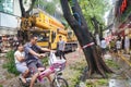 Typhoon blow down trees