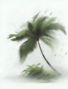 typhoon is coming, strong wind and rain, white background illustration