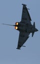 Typhoon Euro Fighter