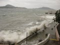 Typhoon Hagupit hitting Hong Kong fiercely Royalty Free Stock Photo