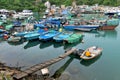 Typhoon Shelter at Fishing Village of Lei Yue Mun