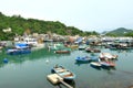 Typhoon Shelter at Fishing Village of Lei Yue Mun Royalty Free Stock Photo