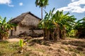 Typical african house made of mud and mudbrick with thatched roof, surrounded by palm and banana trees Royalty Free Stock Photo