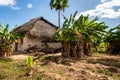 Typical african house made of mud and mudbrick with thatched roof, Pemba Island, Tanzania Royalty Free Stock Photo