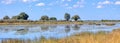 Typical African river landscape, Bwabwata, Namibia Royalty Free Stock Photo